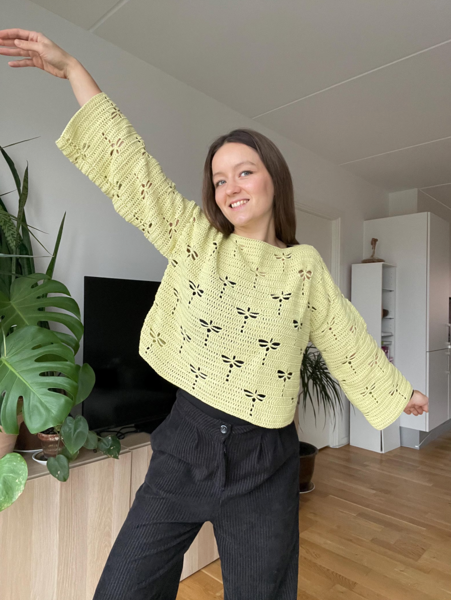 DRAGONFLY CROCHET SWEATER | pdf pattern in English