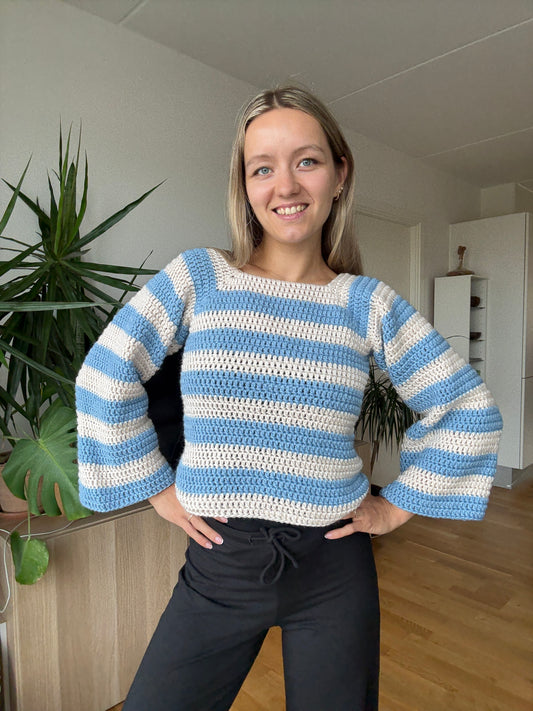 CROCHET RAGLAN SWEATER | beginner friendly pdf pattern in English