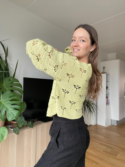DRAGONFLY CROCHET SWEATER | pdf pattern in English