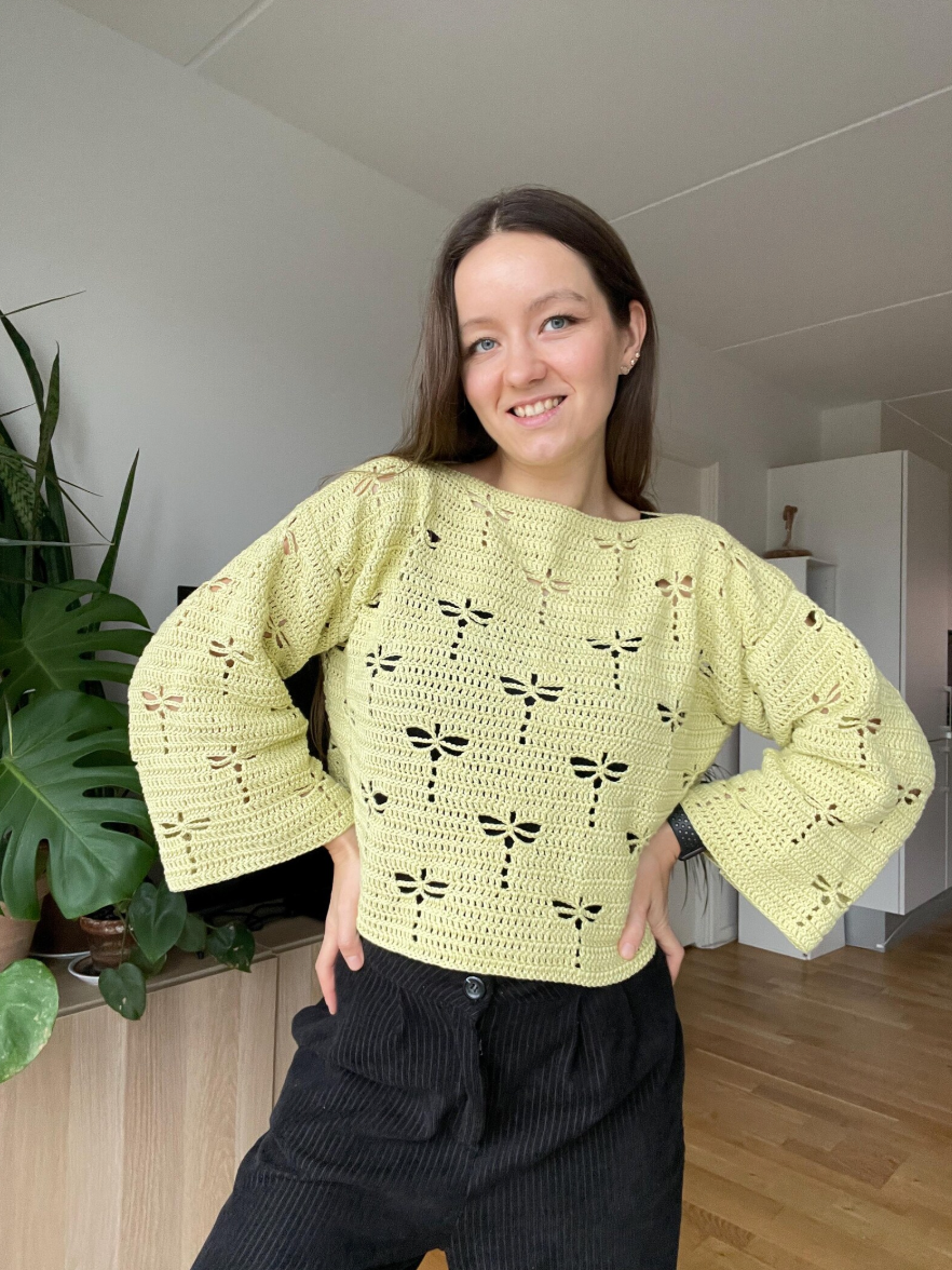 DRAGONFLY CROCHET SWEATER | pdf pattern in English